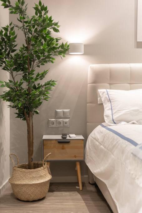 A11 Pristine & Comfy Studio Near Plaka & Parthenon Atina Dış mekan fotoğraf